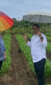 Perkuat Ketahanan Pangan, Pemkab Fokus Intensifikasi Pertanian dan Peternakan