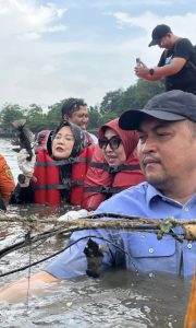 Bupati Bogor Pimpin Aksi Bersih Sungai, 220 Kg Ikan Sapu-Sapu Dievakuasi dari Situ Citatah