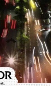 Dongkrak UMKM dan Resmikan Skywalk, Pemkab Bogor Hadirkan Car Free Night Istimewa