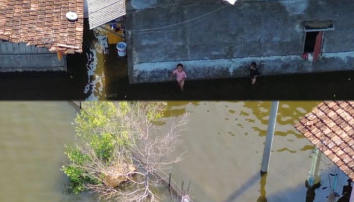 Sebulan Terendam Rob, Rumah Terdampak di Tunggulsari Pati Bertambah Jadi 50 Unit, Warga Keluhkan Logistik