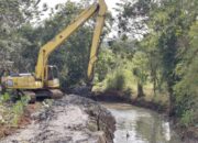 Gencar Mitigasi Banjir, Pemkab Bogor Keruk Sedimentasi Kali Cibeuteung Rancabungur
